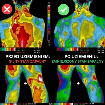 Mata Uziemiająca - Odzyskaj Naturalną Równowagę Organizmu